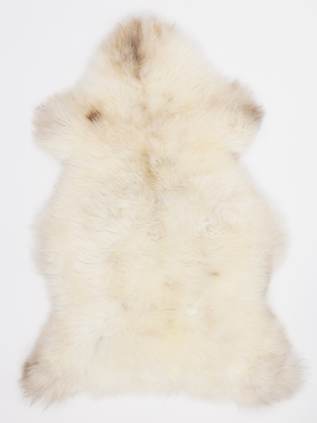 Įvairiaspalvis avikailis L