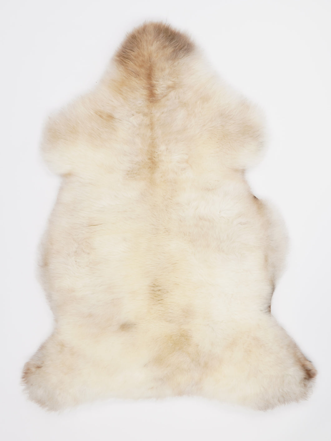 Įvairiaspalvis avikailis L