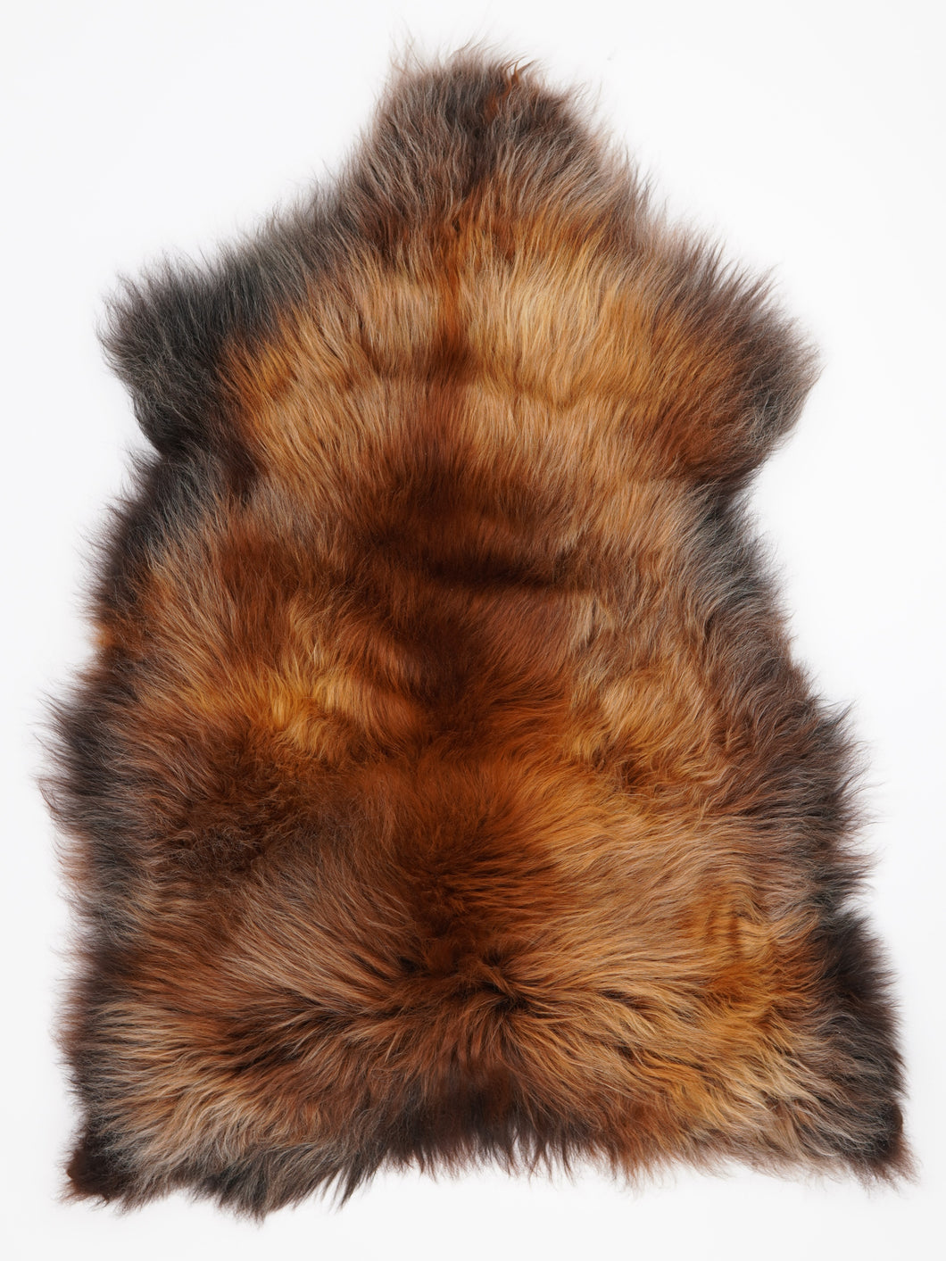 Islandská ovčí kůže XXL