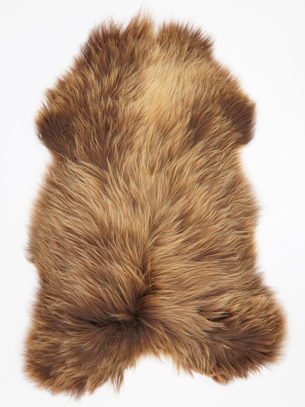 Islandská ovčí kůže XXL