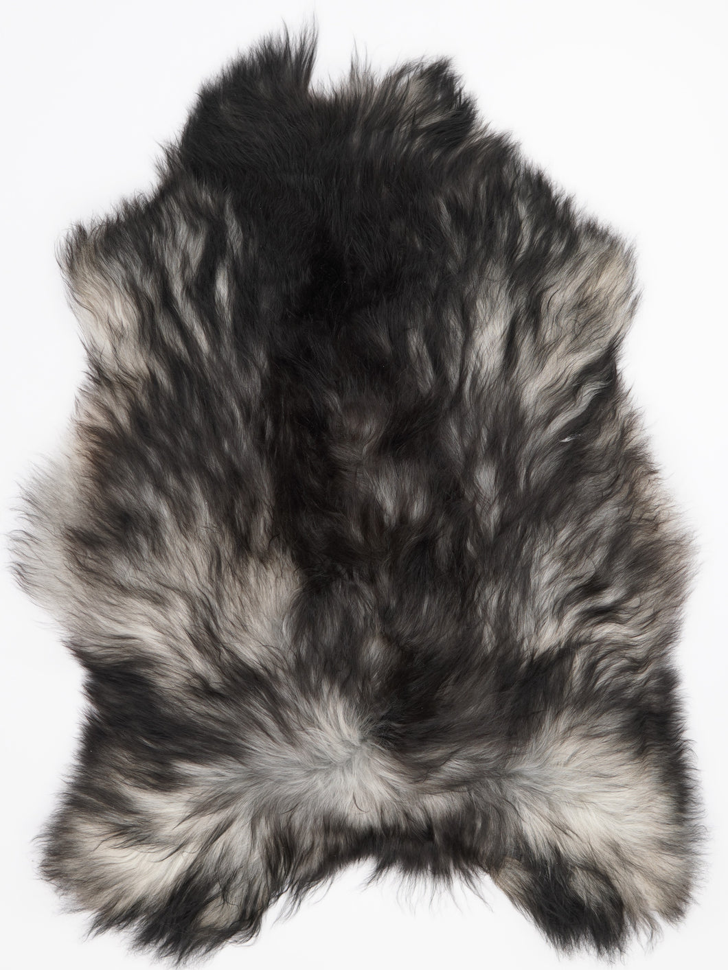 Pilkas islandiškas avikailis XL