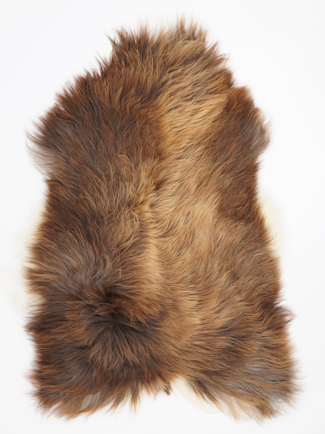 Islandská ovčí kůže XXL