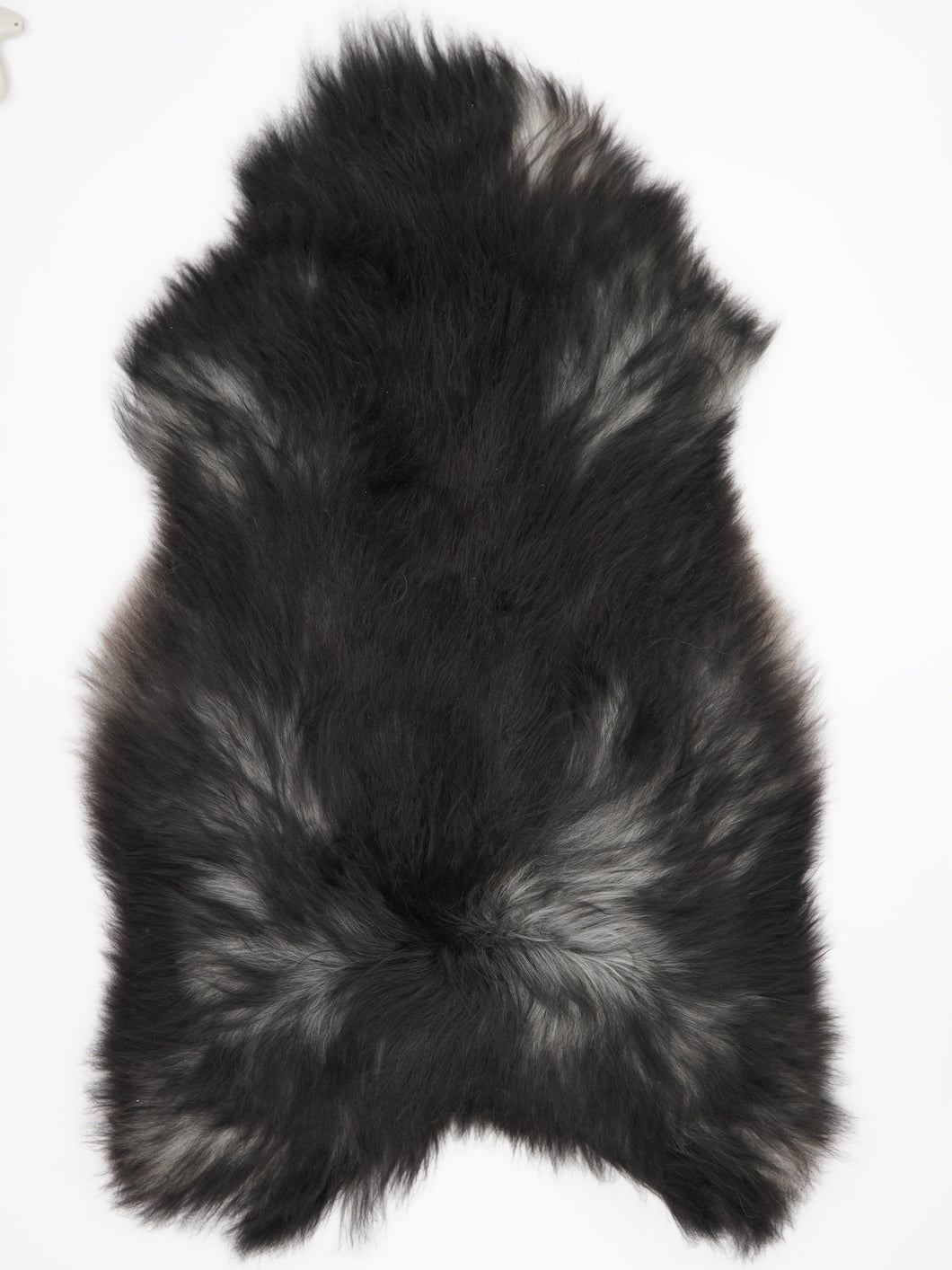 Islandská ovčí kůže XXXL