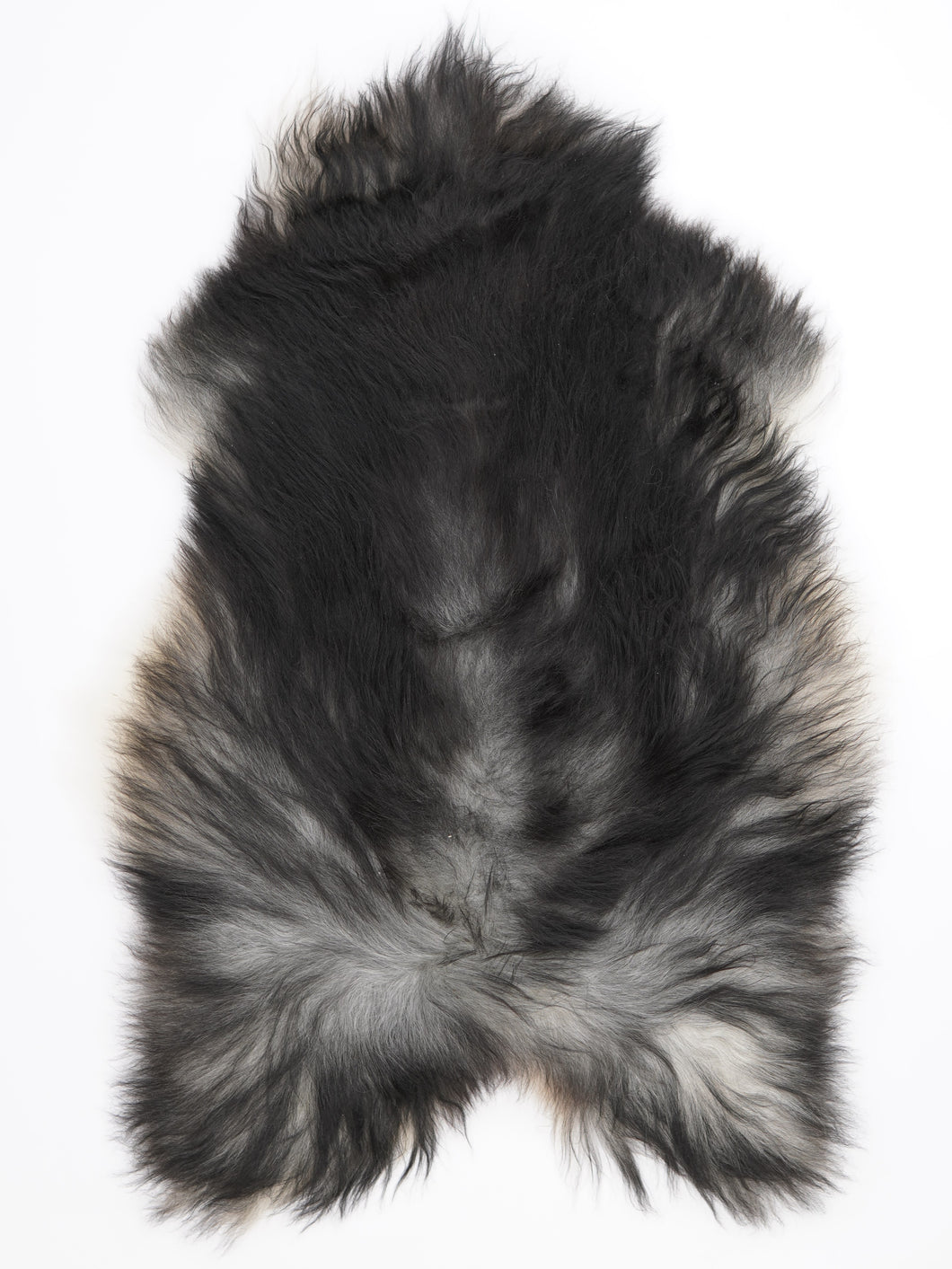 Pilkas islandiškas avikailis XL