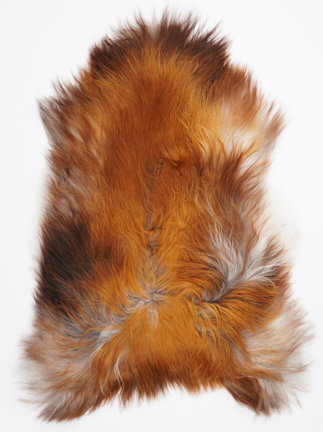 Islandská ovčí kůže XXL