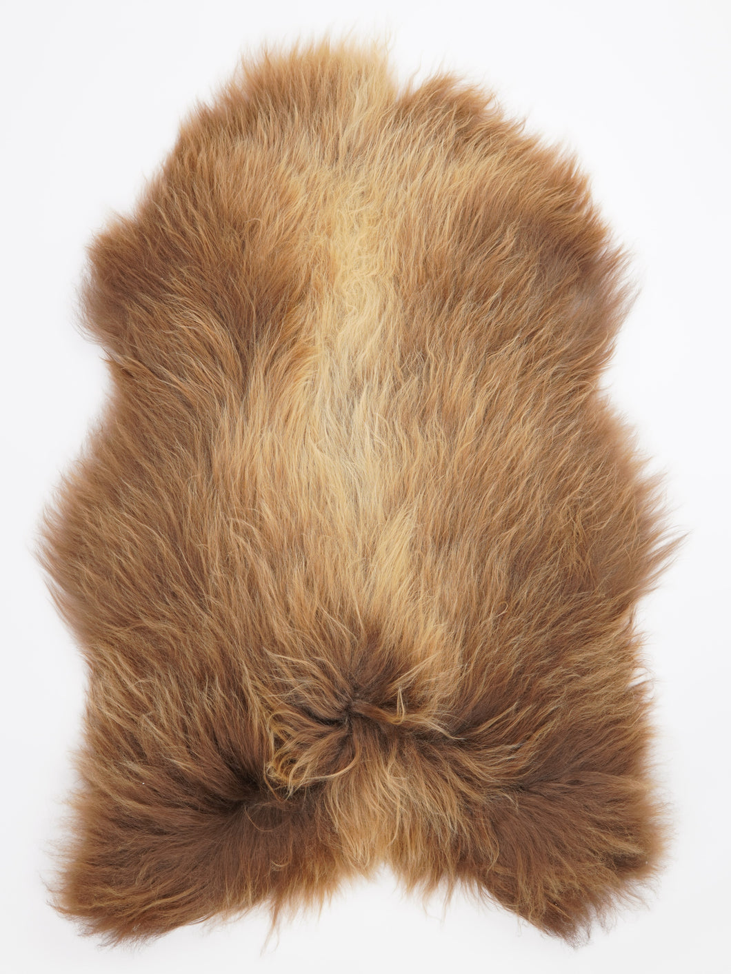 Islandská ovčí kůže XXL