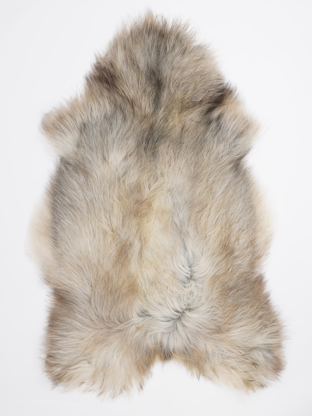 Islandská ovčí kůže XXL