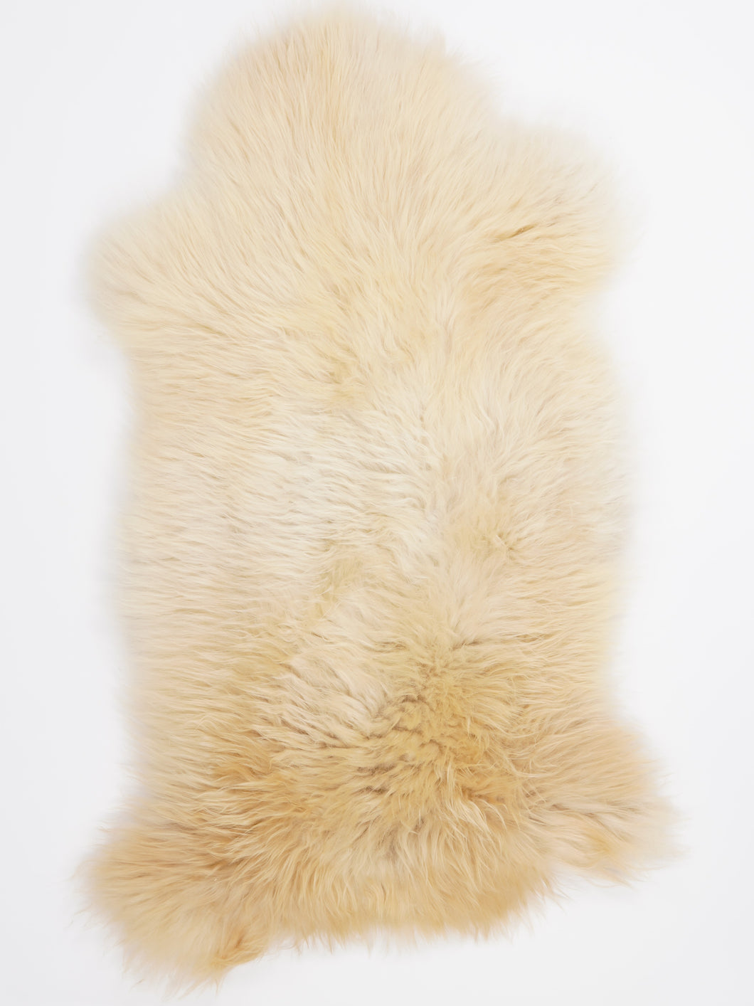 Įvairiaspalvis avikailis XL