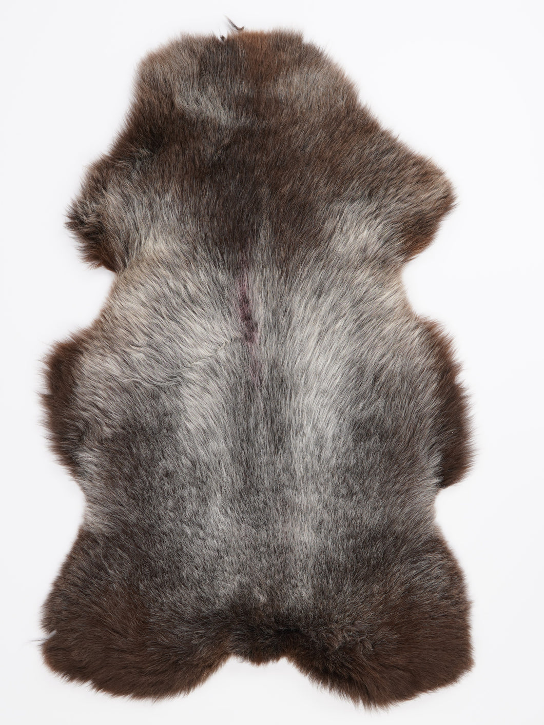 Įvairiaspalvis avikailis XL