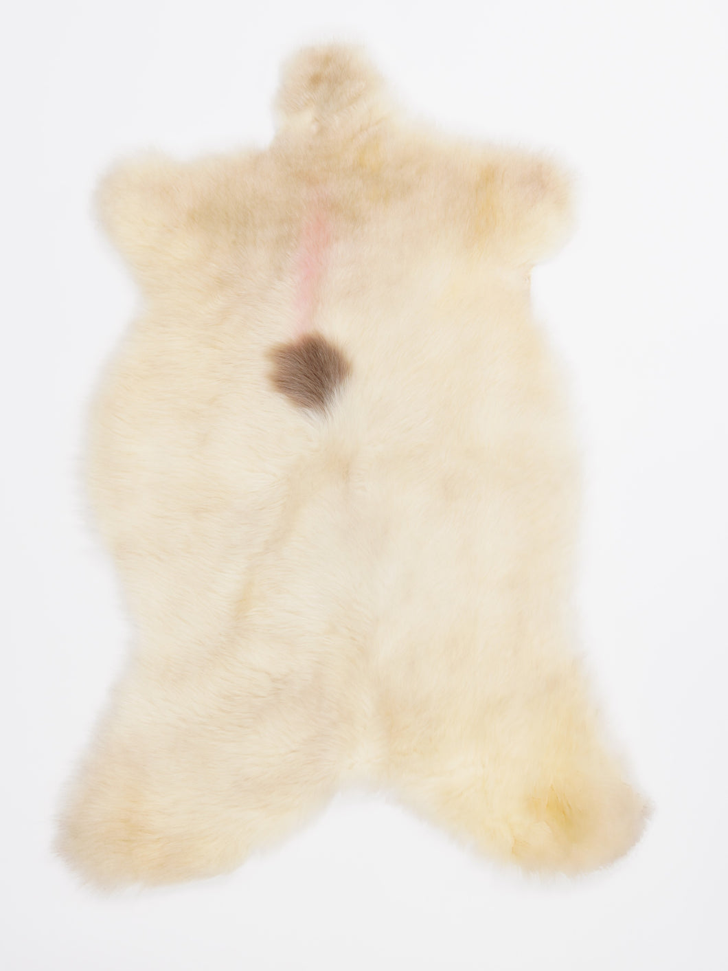 B klasės Vícebarevná ovčí kůže M