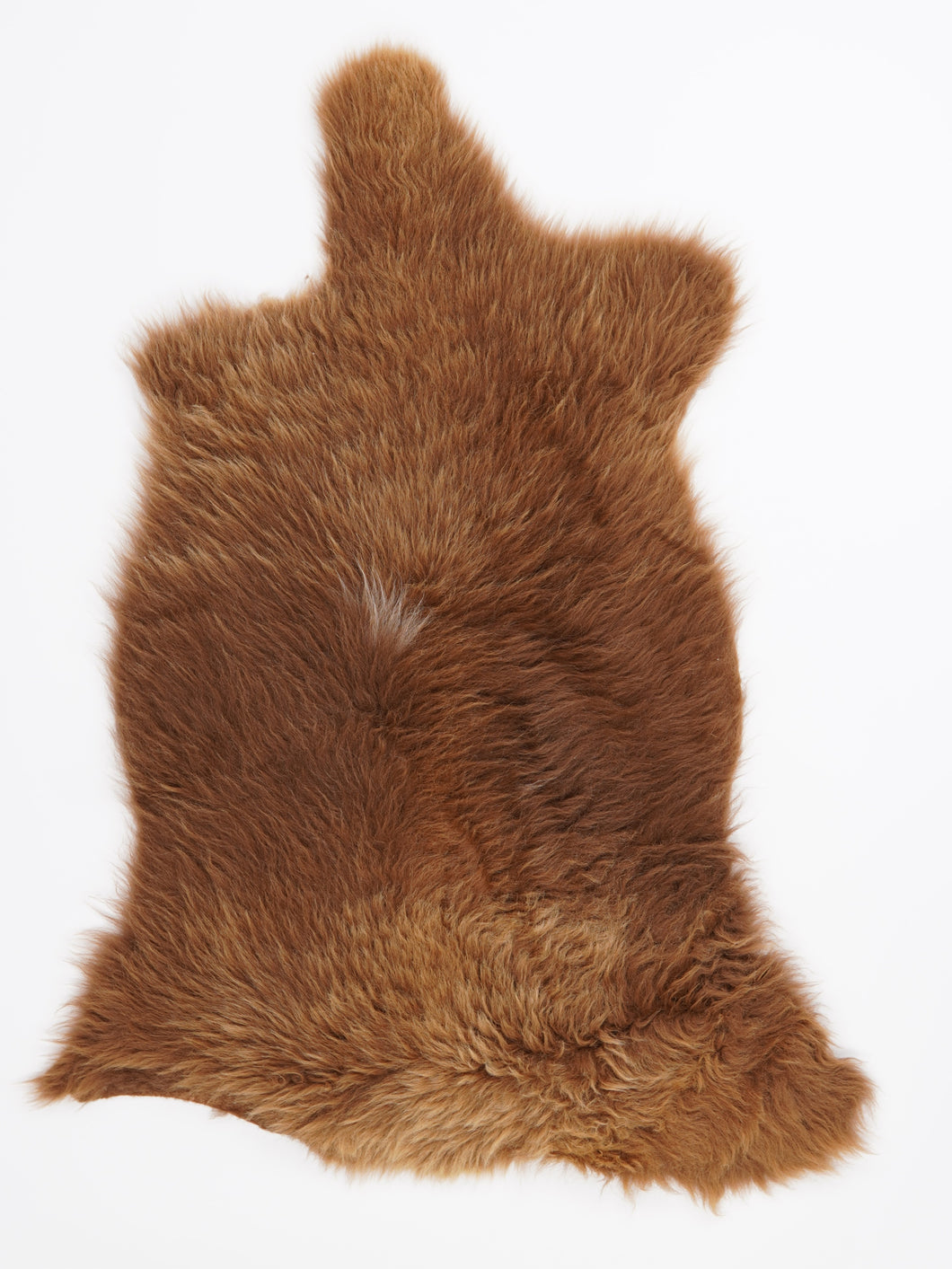 B klasės Vícebarevná ovčí kůže L