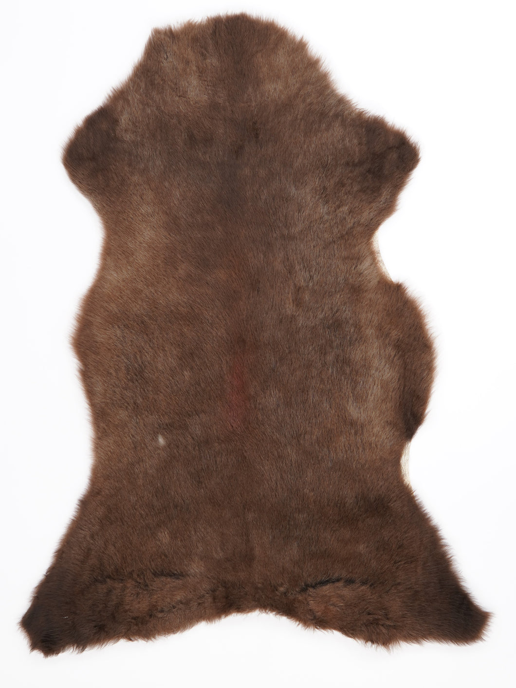 B klasės Vícebarevná ovčí kůže L