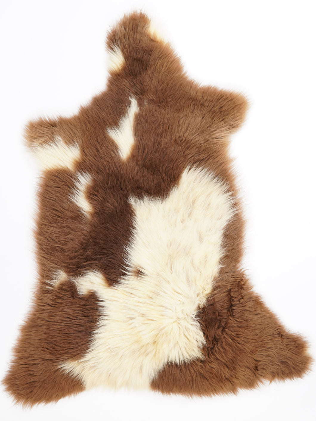 B klasės Vícebarevná ovčí kůže L