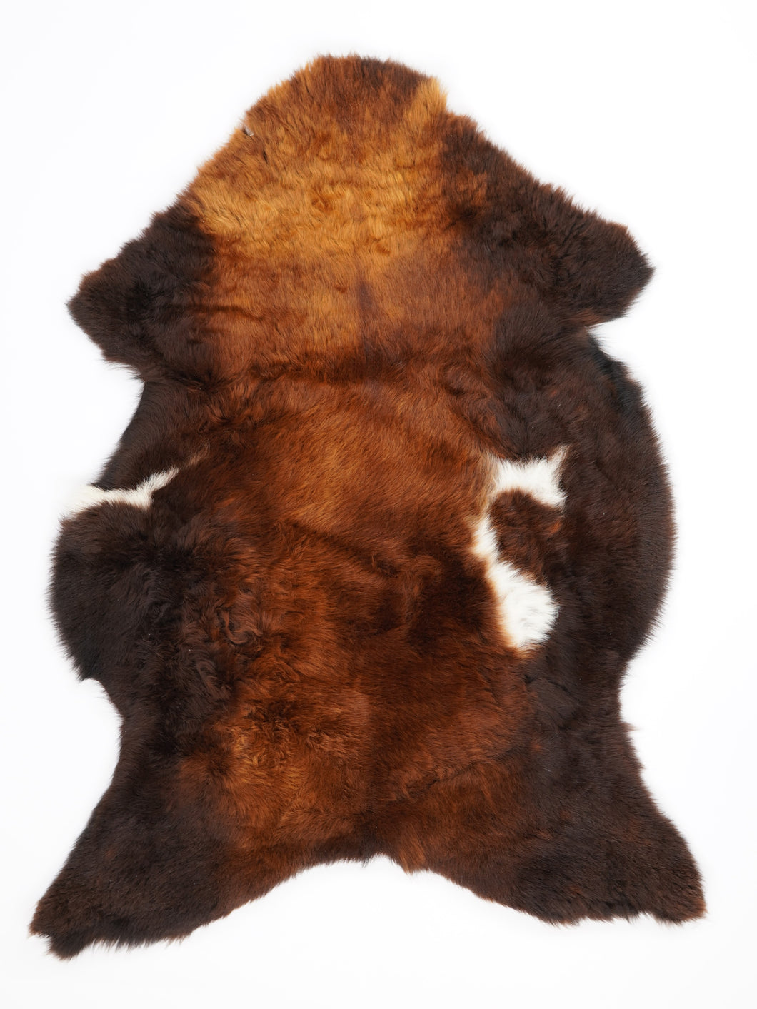 Įvairiaspalvis avikailis L