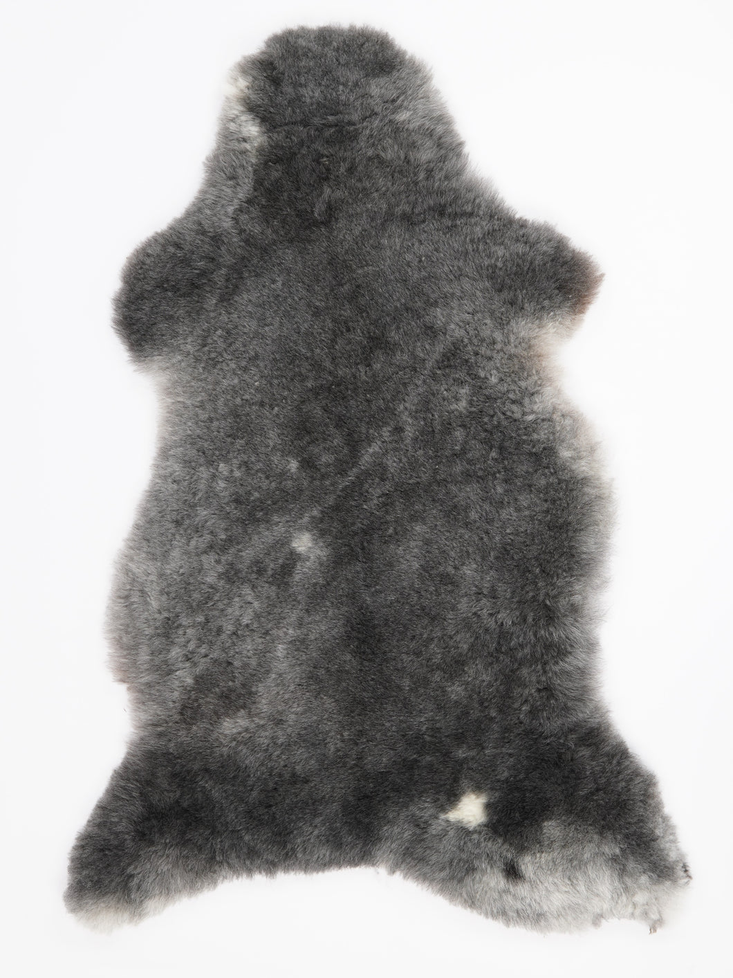 Įvairiaspalvis avikailis XL