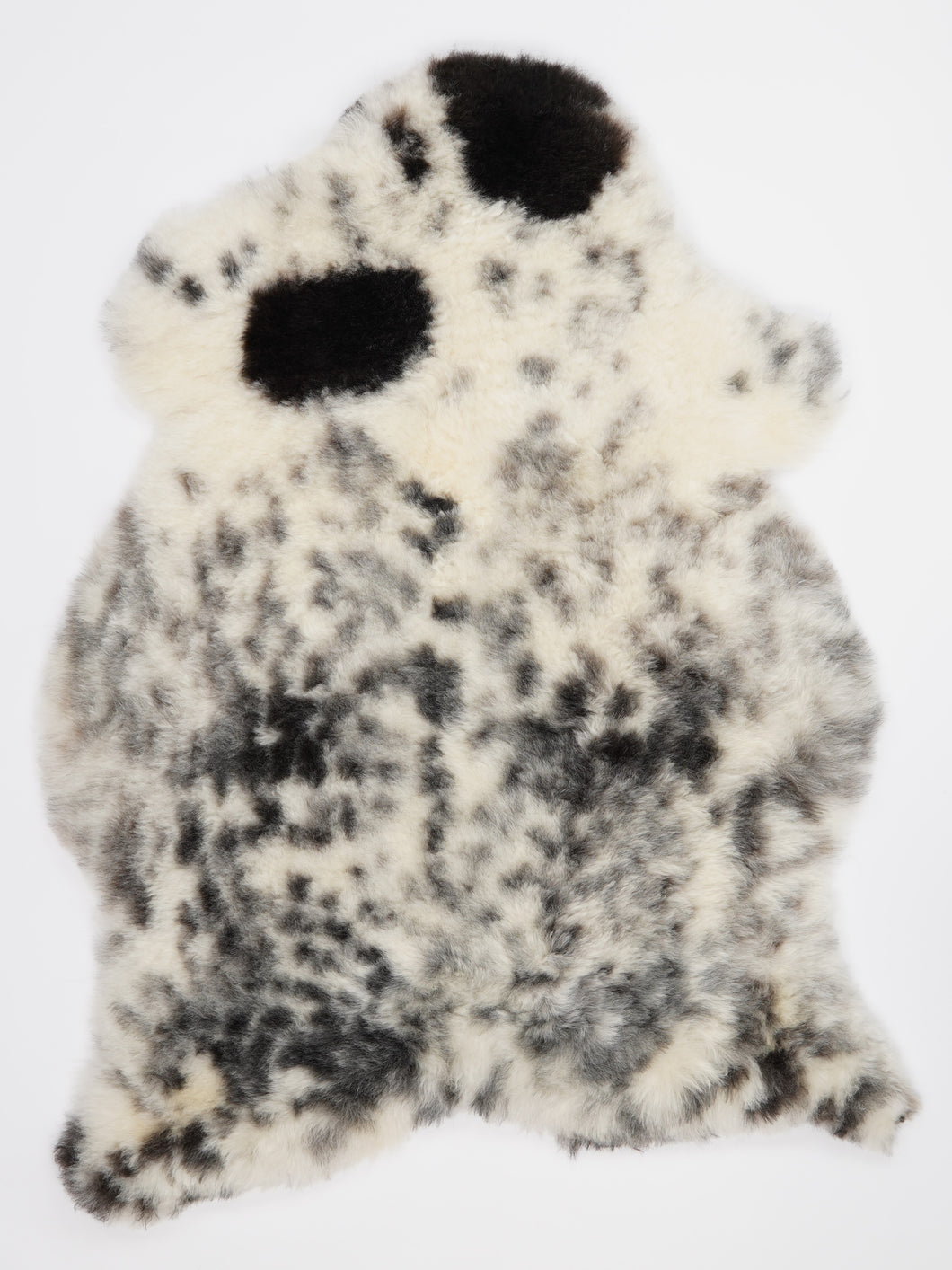 Įvairiaspalvis avikailis XL