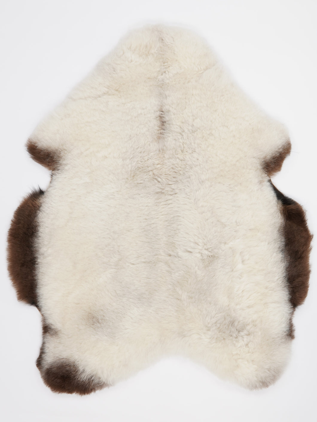 Įvairiaspalvis avikailis L