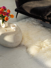 Načíst obrázek do prohlížeče Galerie, Didelis baltas avikailis iš arti
