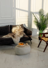 Įkelti vaizdą į galerijos rodinį, Muflono islandiškas avikailis iš toli
