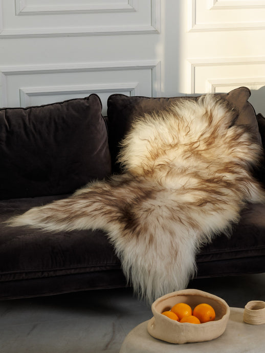 Muflono islandiškas avikailis