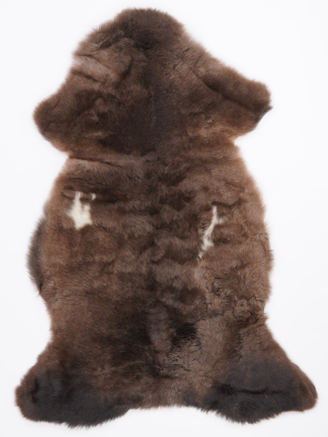 Įvairiaspalvis avikailis XL