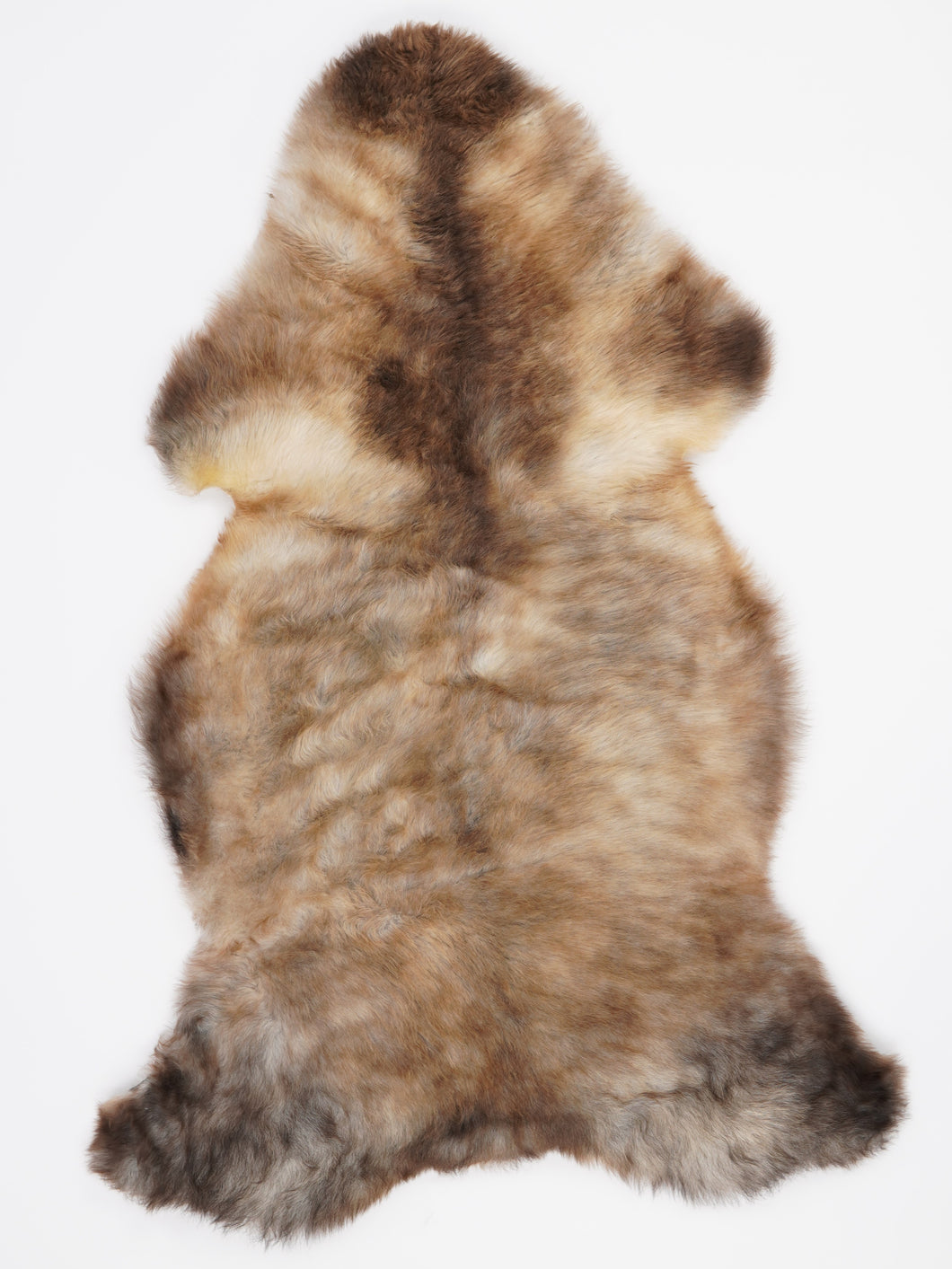 Įvairiaspalvis avikailis XL