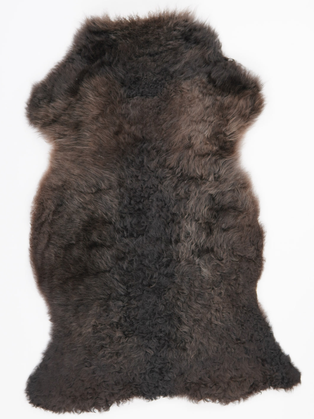 Įvairiaspalvis avikailis M