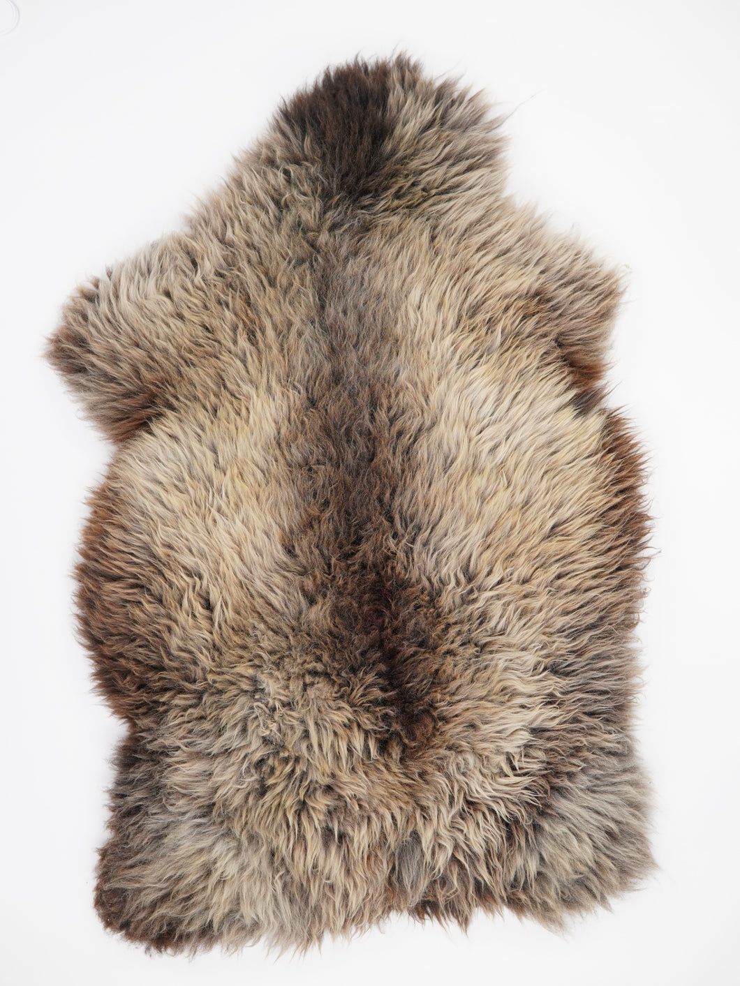 Įvairiaspalvis avikailis XXXXL