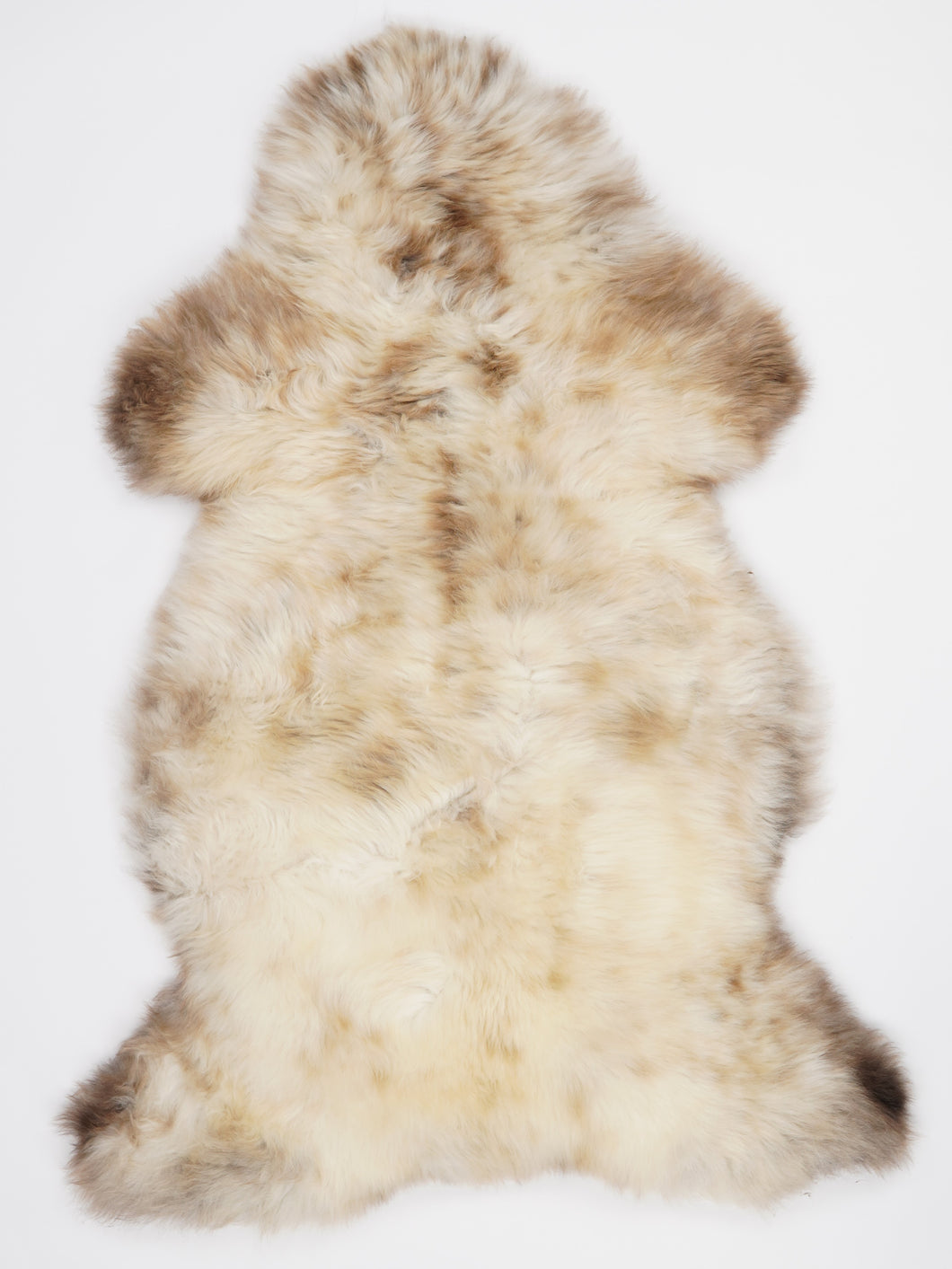 Įvairiaspalvis avikailis XL