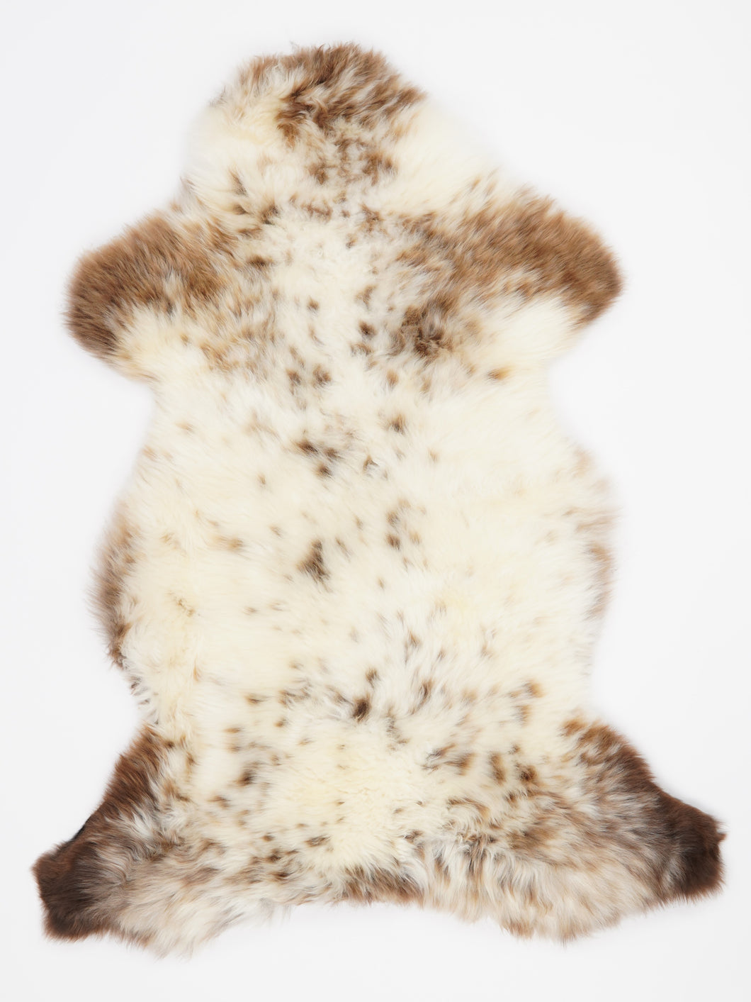 Įvairiaspalvis avikailis XL