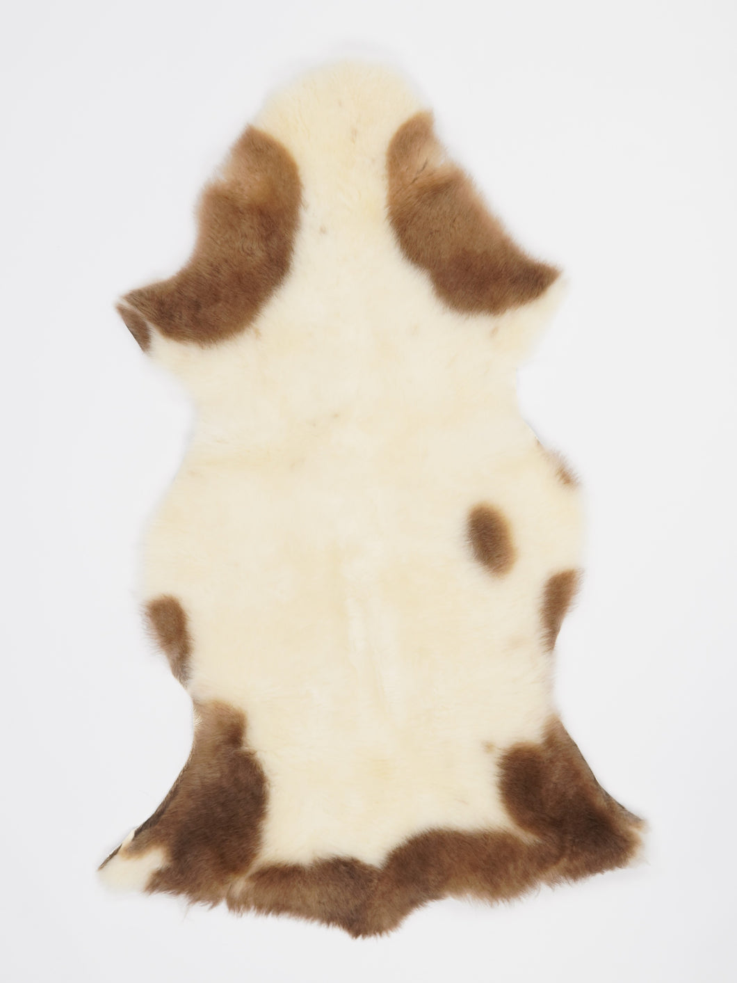 Įvairiaspalvis avikailis M