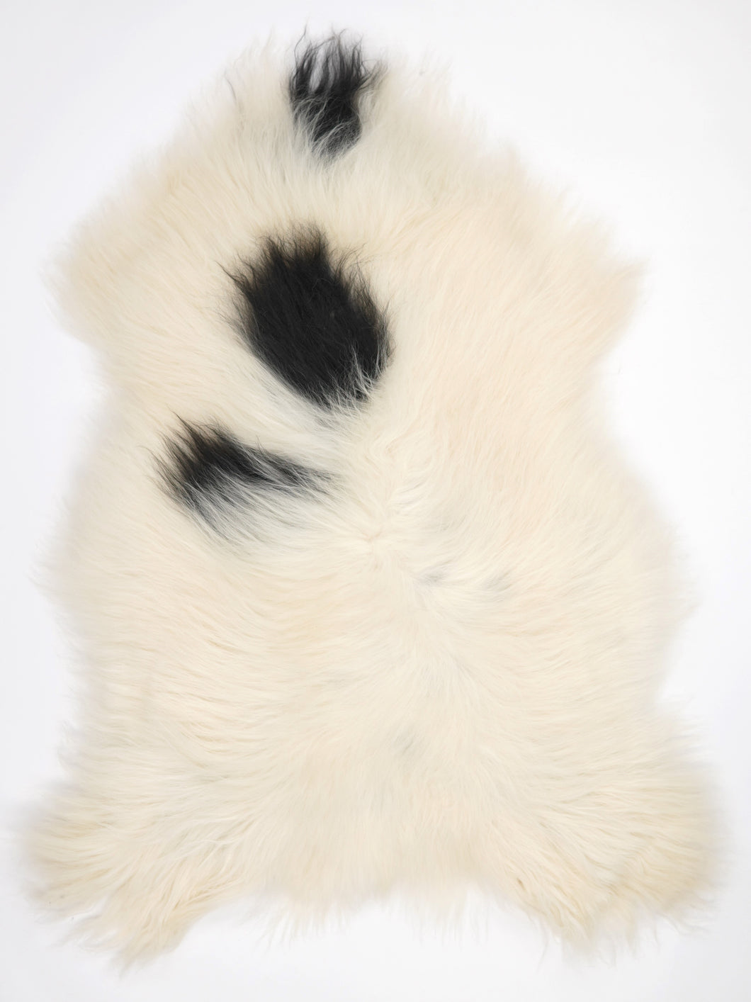 Islandská ovčí kůže XL