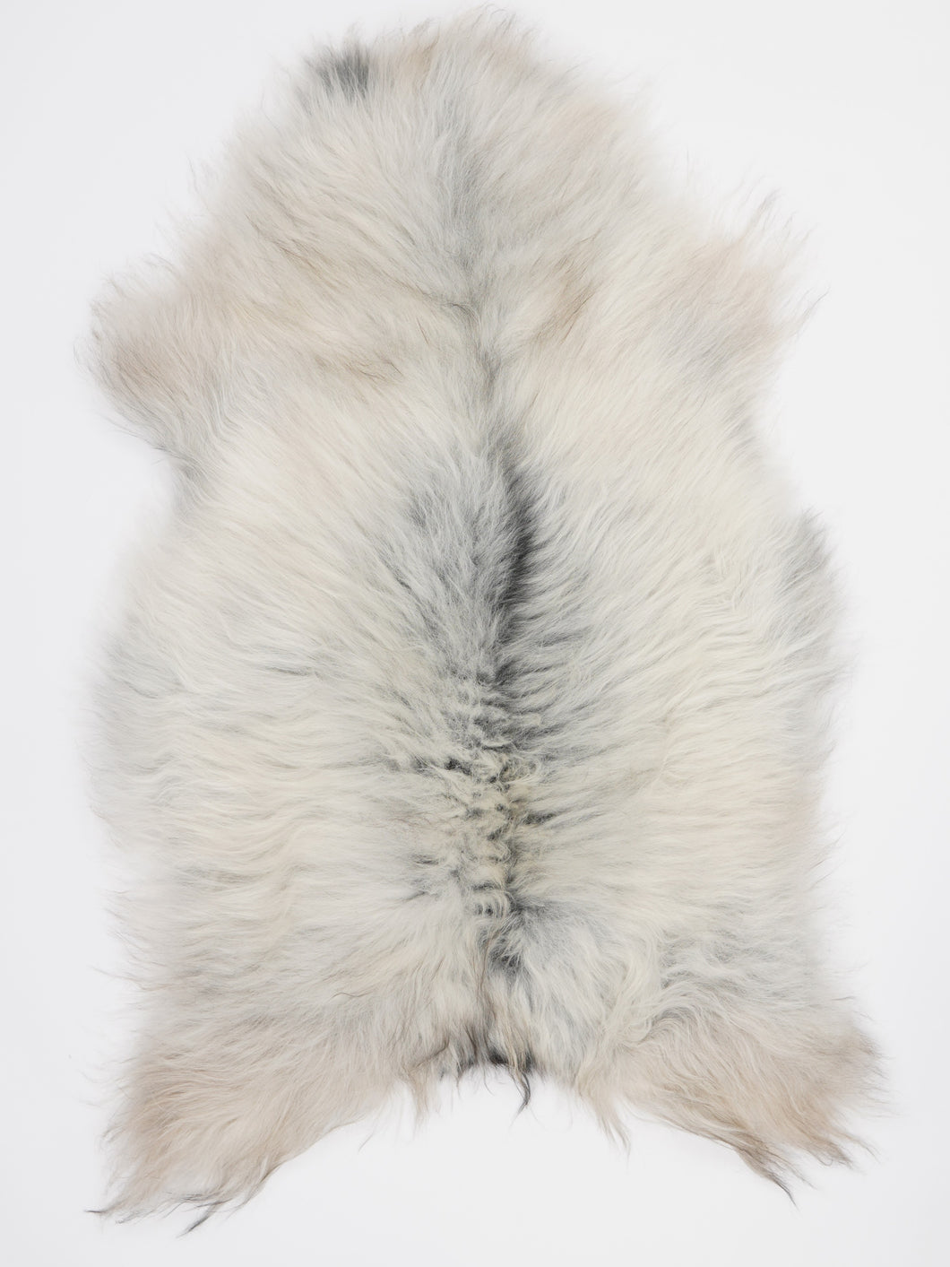 Pilkas islandiškas avikailis L