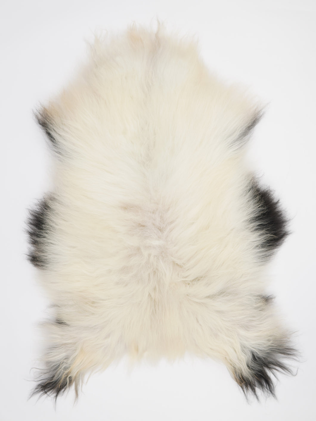 Islandská ovčí kůže XL