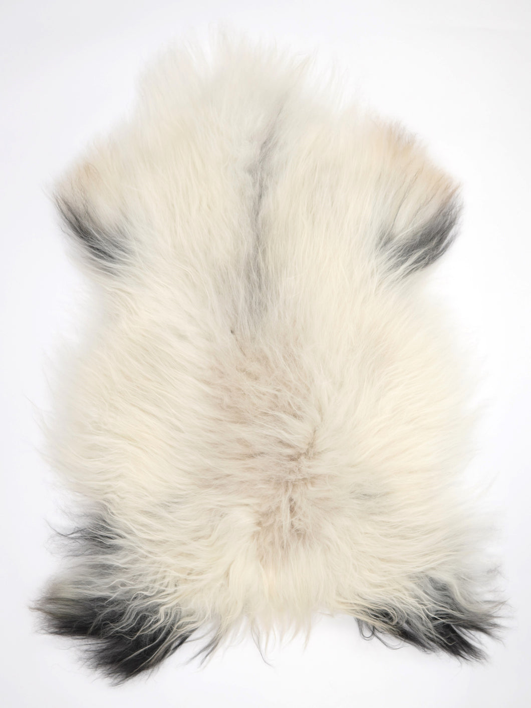 Islandská ovčí kůže XL