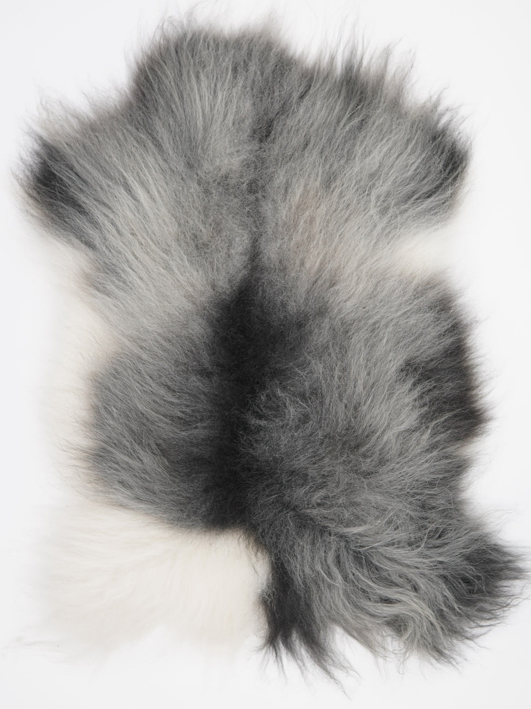 Pilkas islandiškas avikailis XL