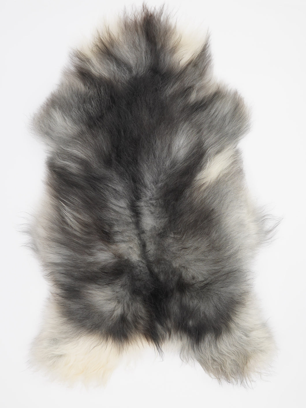 Pilkas islandiškas avikailis XL