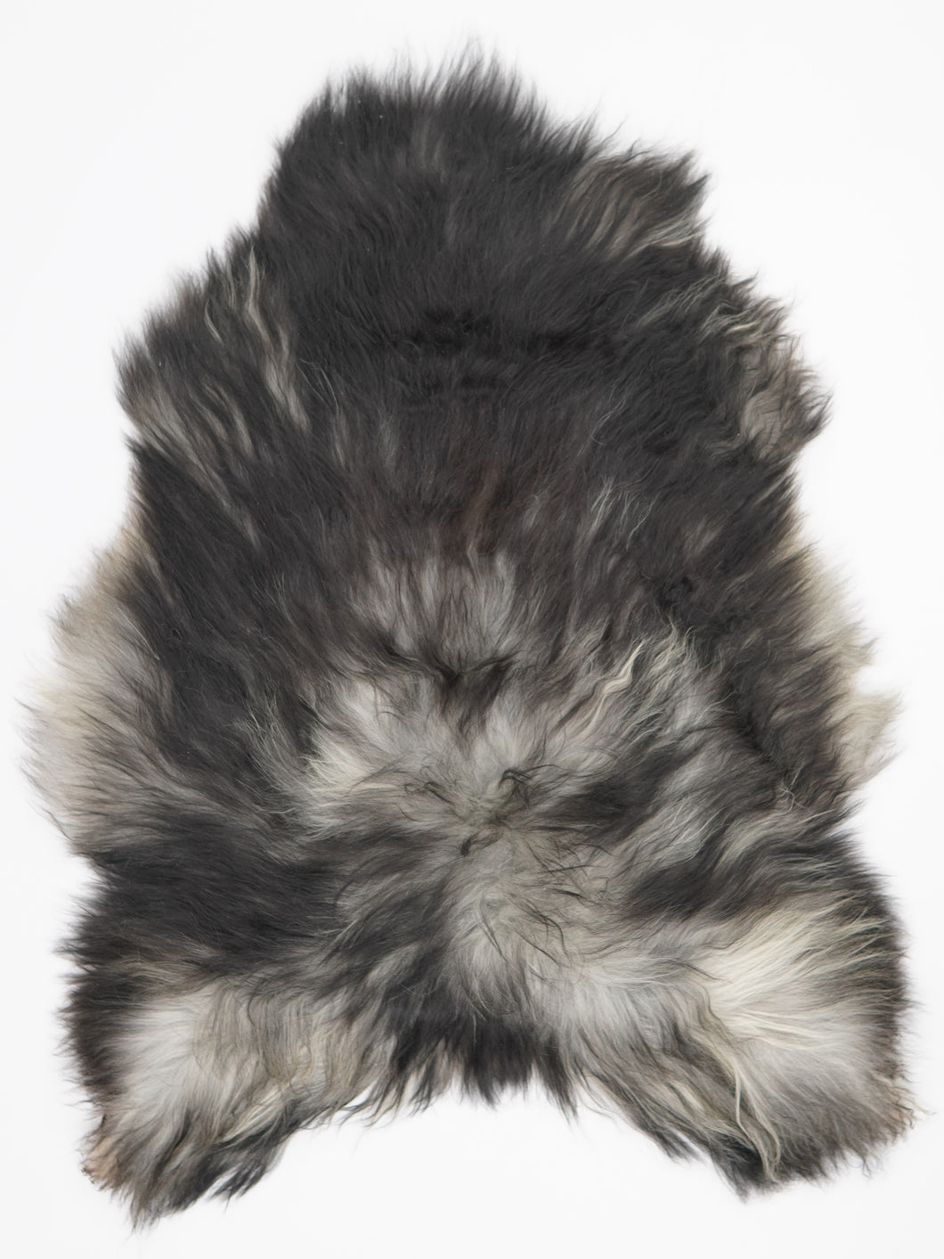 Pilkas islandiškas avikailis L