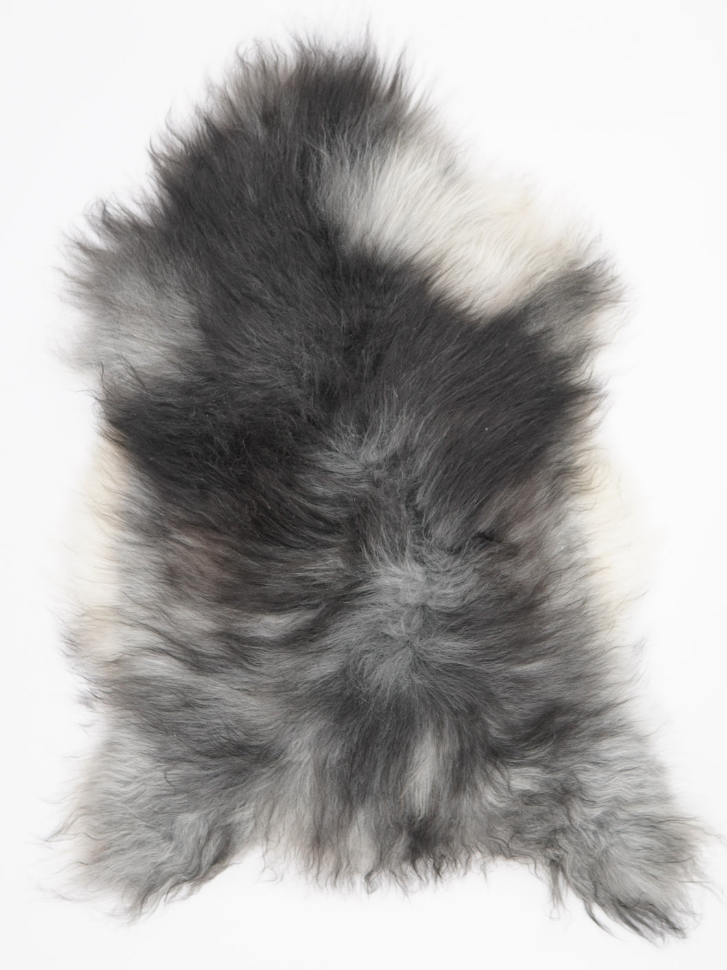 Pilkas islandiškas avikailis XL