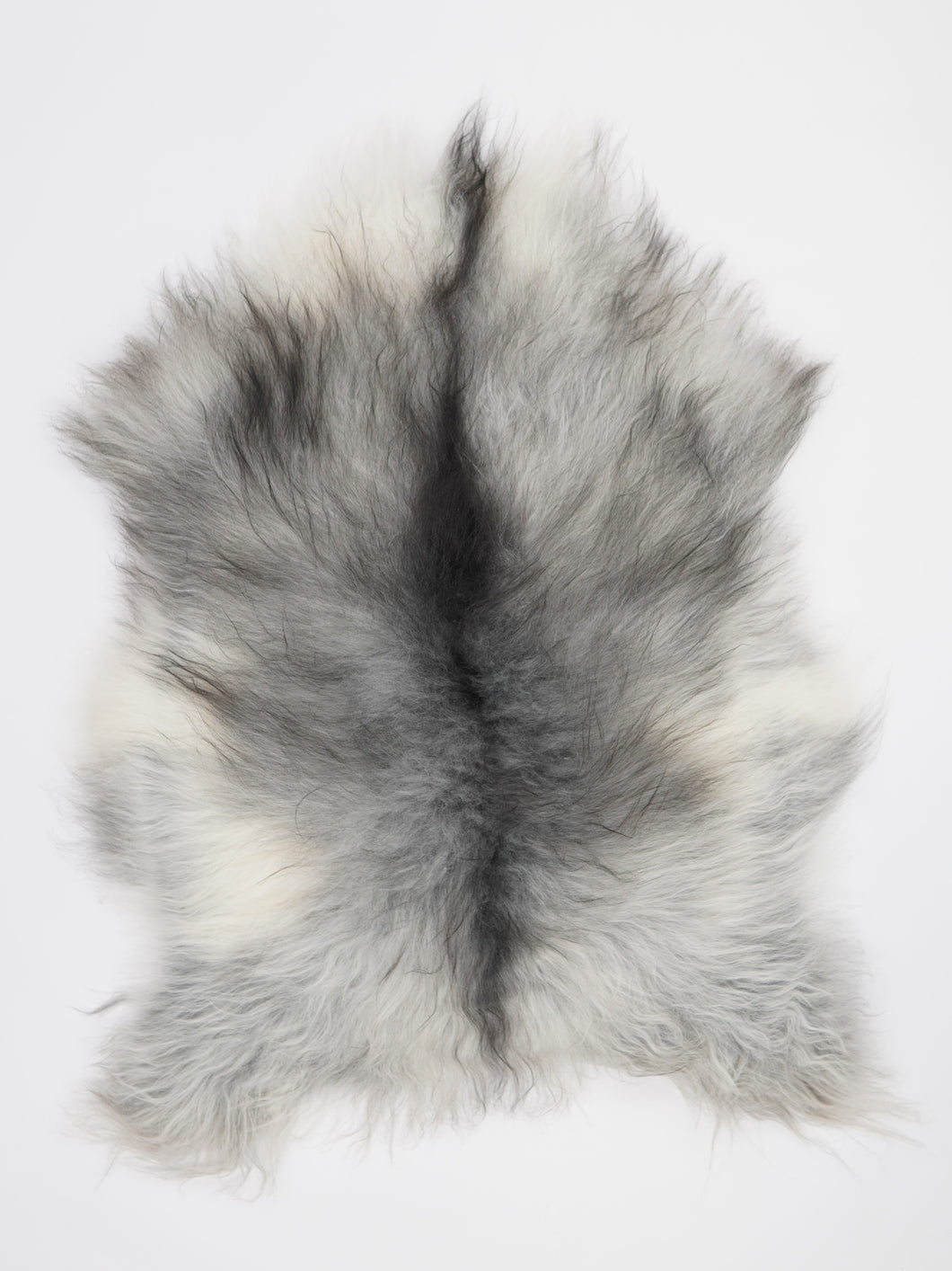 Pilkas islandiškas avikailis L