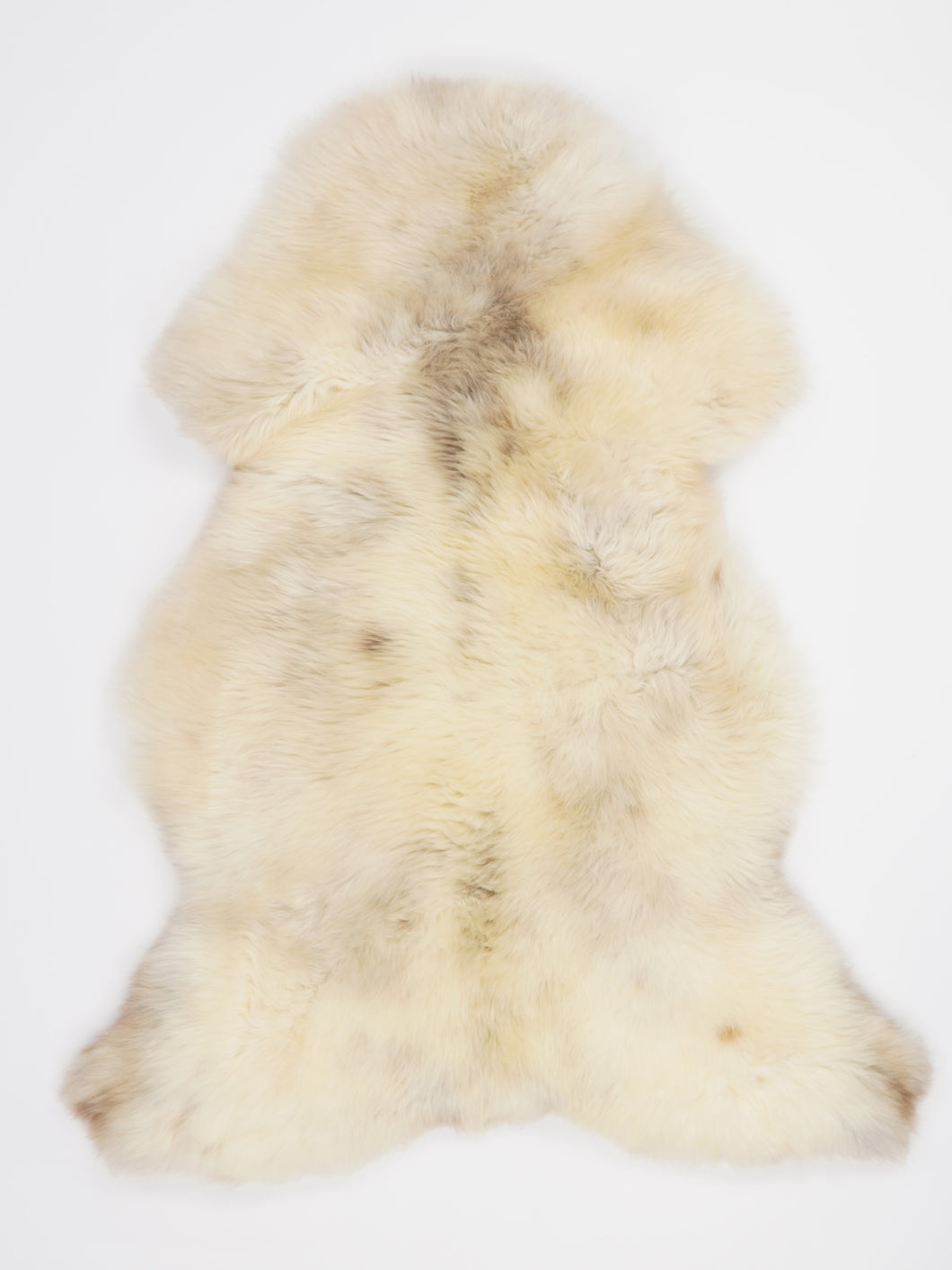 Įvairiaspalvis avikailis XL