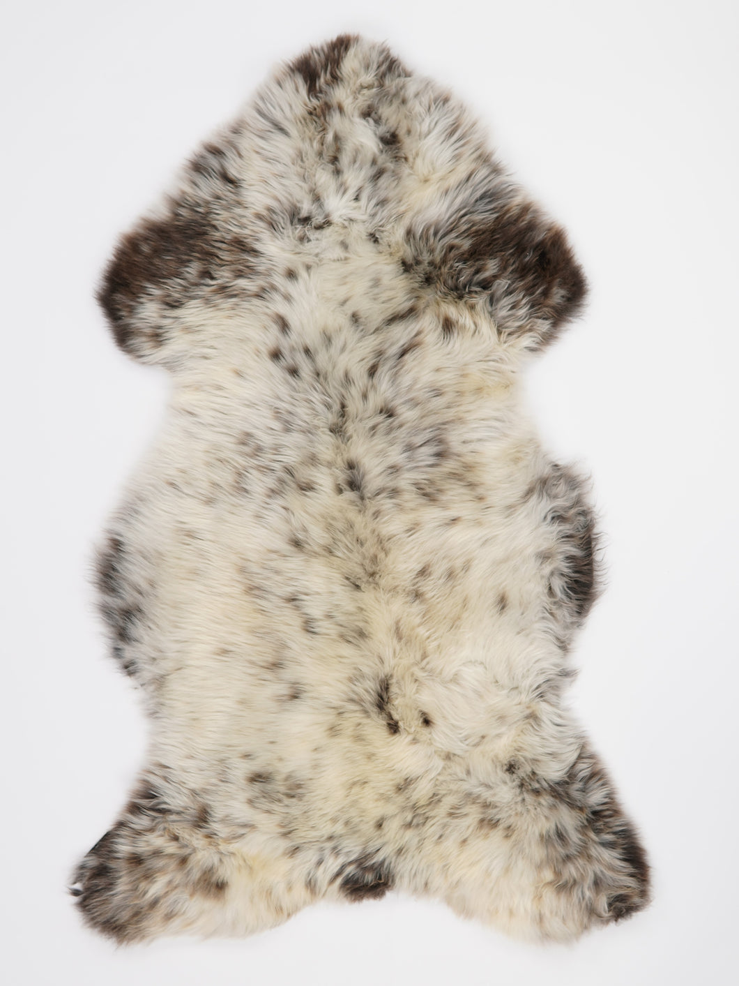 Įvairiaspalvis avikailis XL