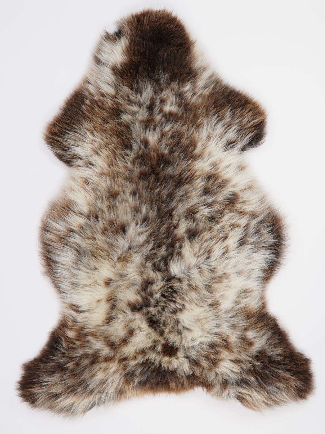 Įvairiaspalvis avikailis XL