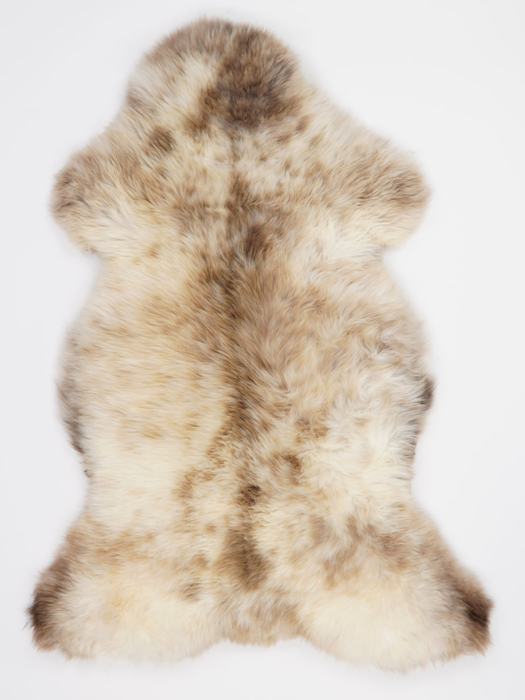 Įvairiaspalvis avikailis XL