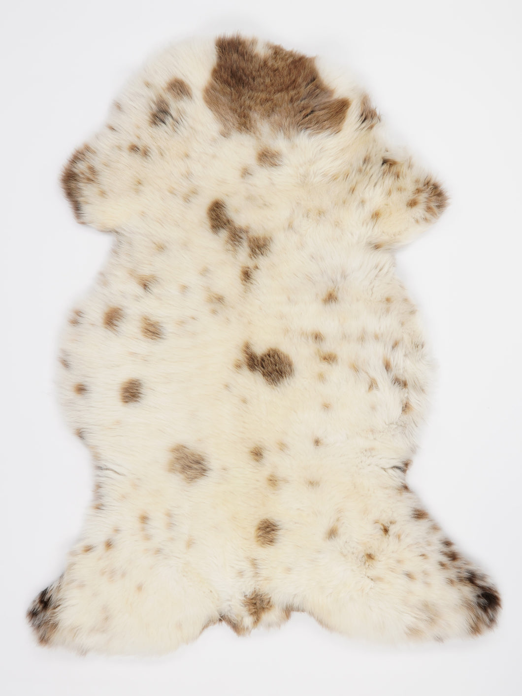 Įvairiaspalvis avikailis L