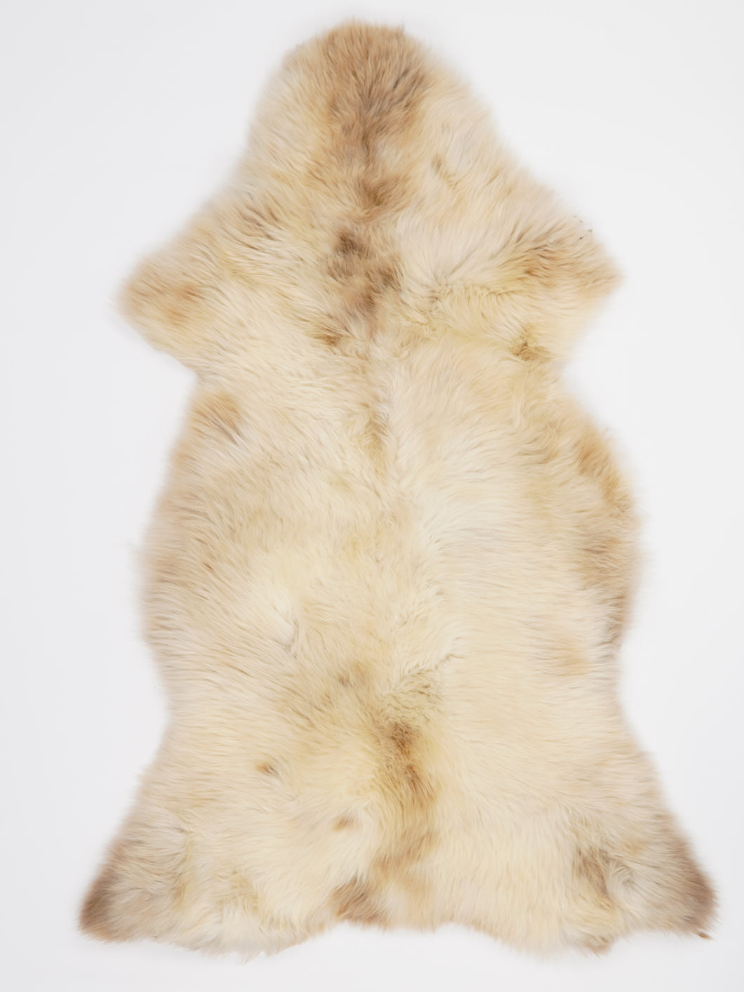 Įvairiaspalvis avikailis XL