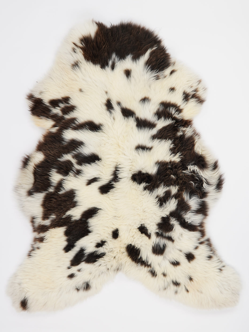 Įvairiaspalvis avikailis XL