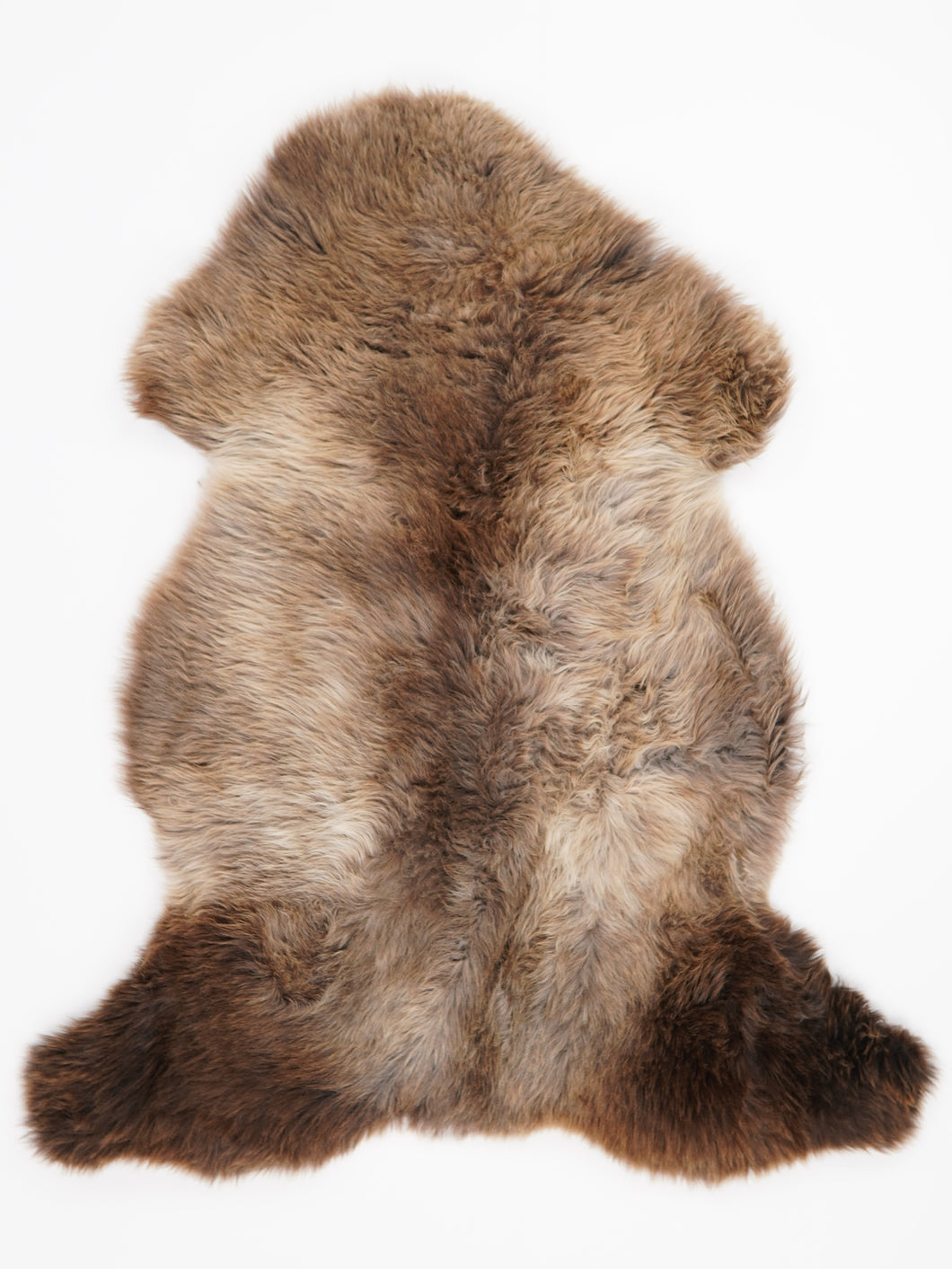 Įvairiaspalvis avikailis L