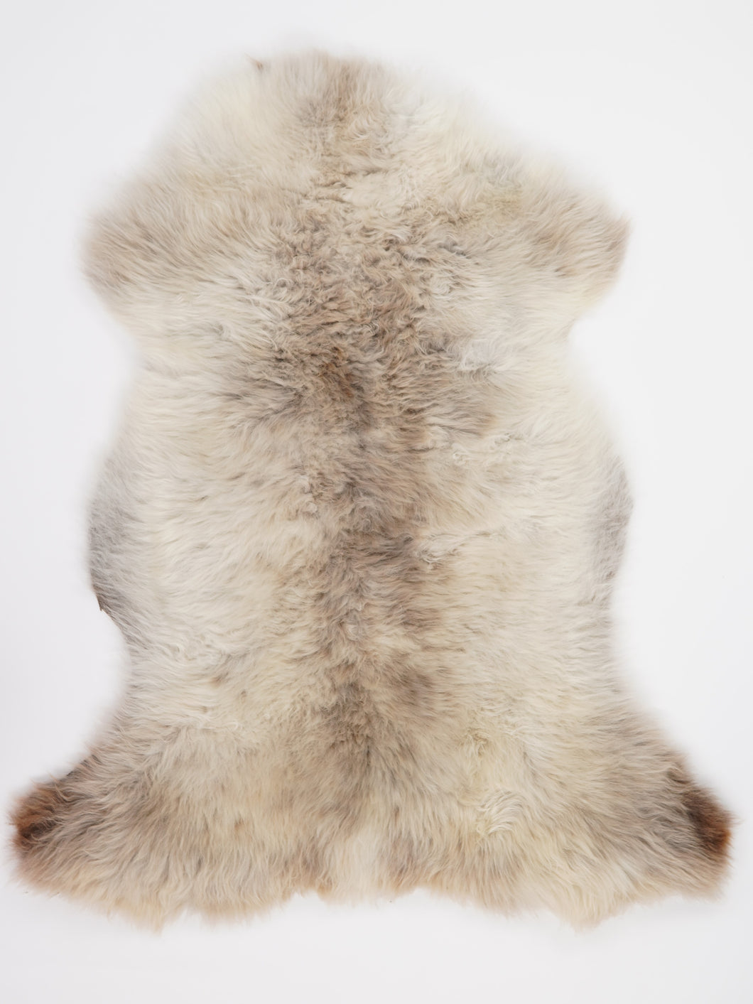 Įvairiaspalvis avikailis XL