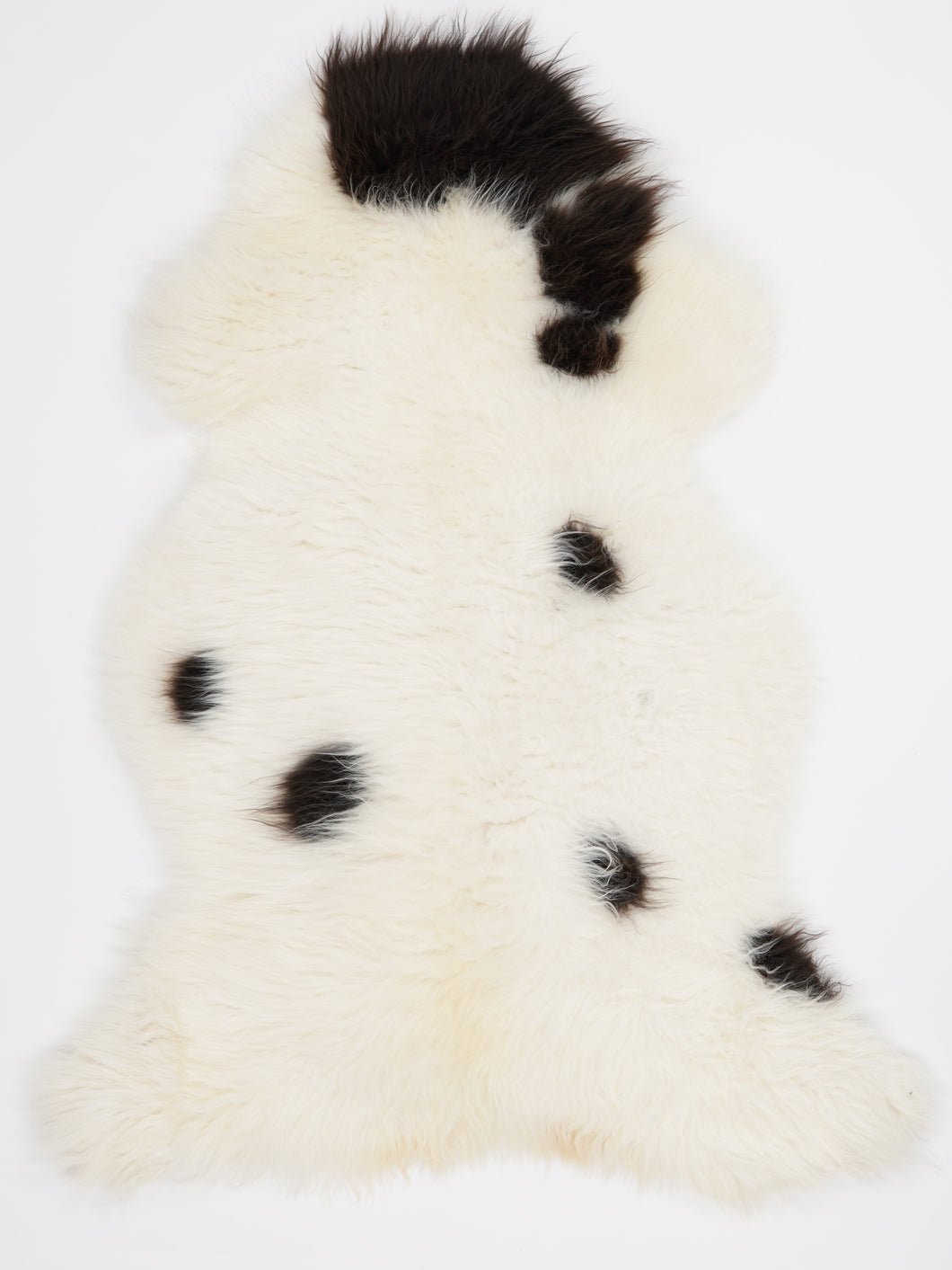 Įvairiaspalvis avikailis XL